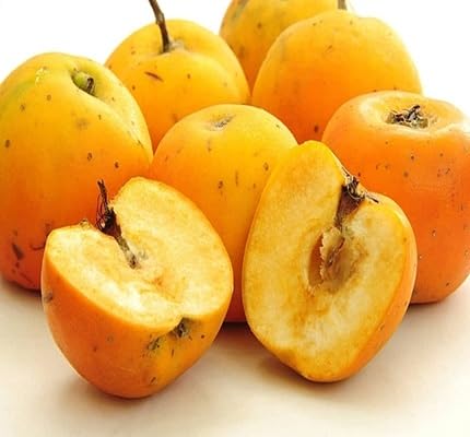 Apple Seeds Yellow – Heirloom, Non-GMO, High Germination Organic Garden Seeds