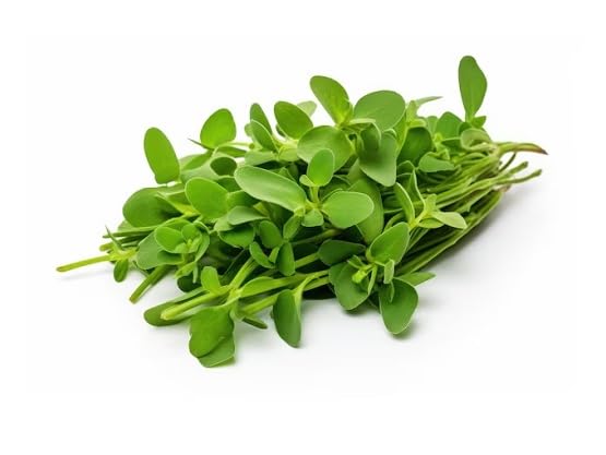 Purslane Seeds for Planting – Heirloom, Non-GMO, High Germination Organic Garden Seeds