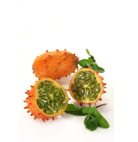 Kiwano Seeds – Heirloom, Non-GMO, High Germination Organic Garden Seeds