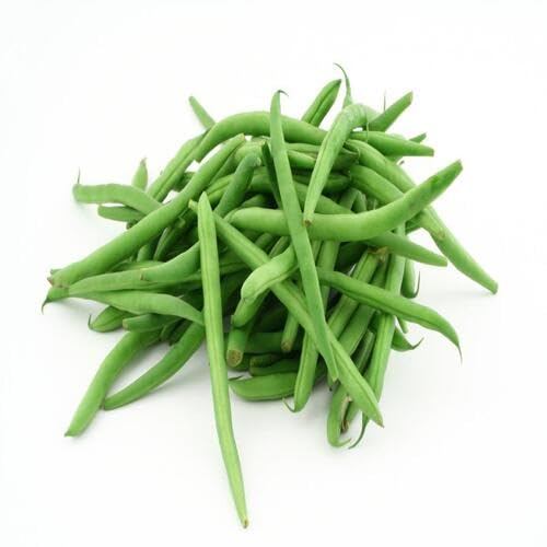 Green Beans Seeds – Heirloom, Non-GMO, High Germination Organic Garden Seeds Planting