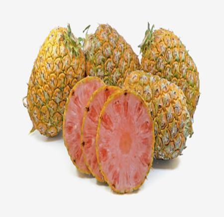 Pink Pineapple Seeds – Heirloom Non-GMO High Germination Organic Garden Seeds