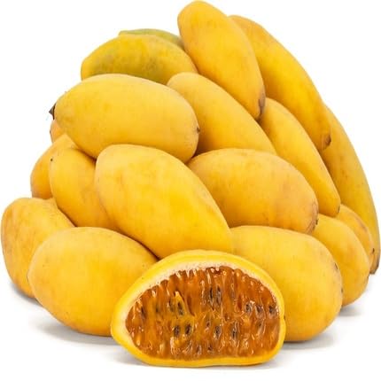 Orange Mollissima Seeds – Heirloom, Non-GMO, High Germination Organic Garden Seeds