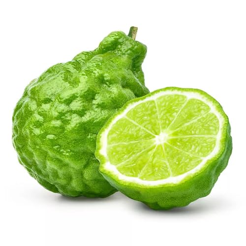 Orange Bergamot Seeds Heirloom Non-GMO High Germination Organic Garden Seeds for Planting