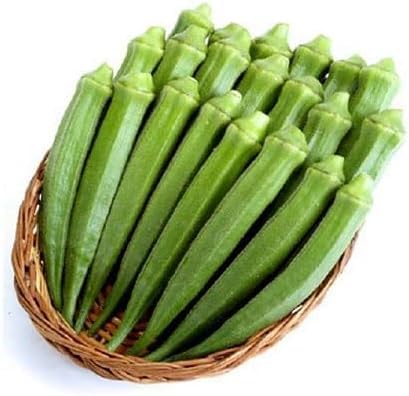 Okra Seeds – Heirloom, Non-GMO, High Germination Organic Garden Seeds Planting