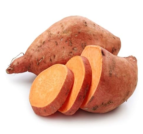 Sweet Potato Seeds – Heirloom, Non-GMO, High Germination Organic Garden Seeds Planting
