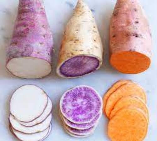 Mixed Sweet Potato Seeds – Heirloom, Non-GMO, High Germination Organic Garden Seeds Planting