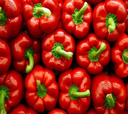 Pepper Seeds – Heirloom, Non-GMO, High Germination Organic Garden Seeds Planting