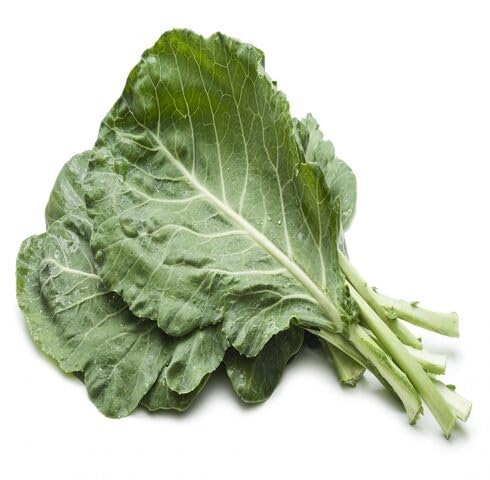 Green Collard Seeds – Heirloom, Non-GMO, High Germination Organic Garden Seeds Planting