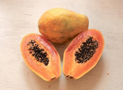 Orange Papaya Seeds – Heirloom, Non-GMO, High Germination Organic Garden Seeds