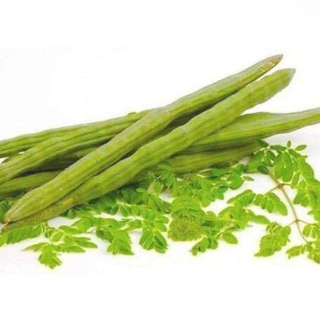 Green Moringa Seeds – Heirloom, Non-GMO, High Germination Organic Garden Seeds Planting