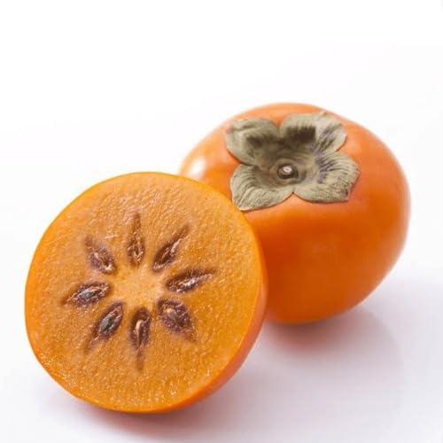 Orange Persimmon Seeds – Heirloom, Non-GMO, High Germination Organic Garden Seeds