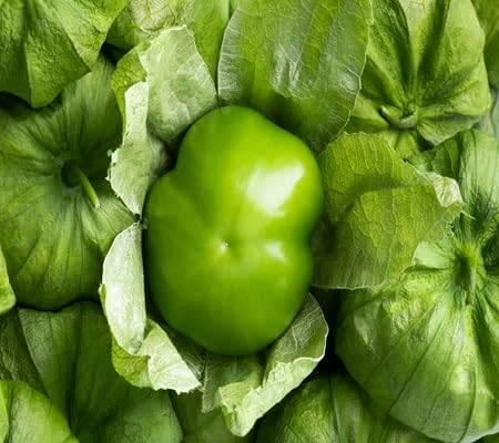 Tomatillo Seeds – Heirloom, Non-GMO, High Germination Organic Garden Seeds