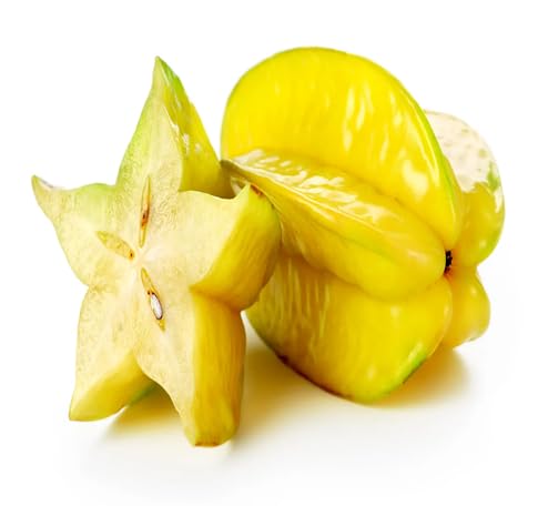 Carambola Seeds – Heirloom, Non-GMO, High Germination Organic Garden Seeds