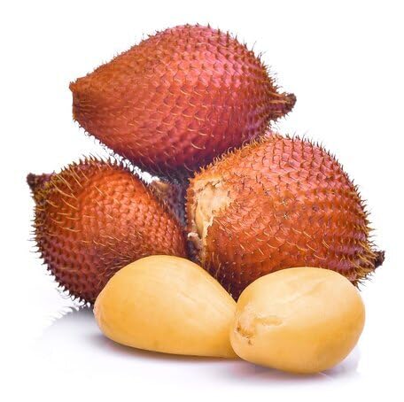 Brown Salak Seeds – Heirloom, Non-GMO, High Germination Organic Garden Seeds