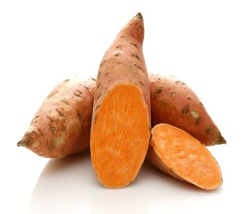 Sweet Potato Mixed Seeds – Heirloom, Non-GMO, High Germination Organic Garden Seeds Planting