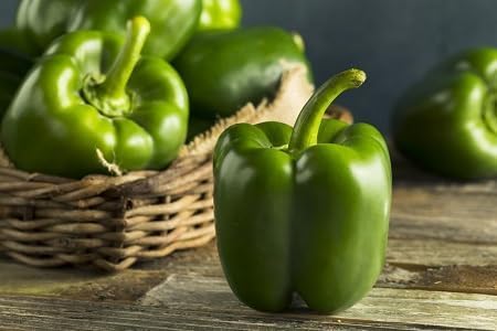 Pepper Seeds – Heirloom, Non-GMO, High Germination Organic Garden Seeds Planting