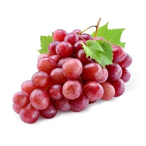 Grape Seeds – Heirloom, Non-GMO, High Germination Organic Garden Seeds