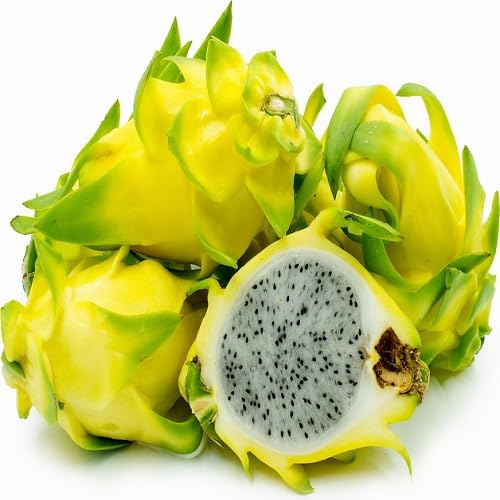 Yellow Pitaya Seeds – Heirloom, Non-GMO, High Germination Organic Garden Seeds