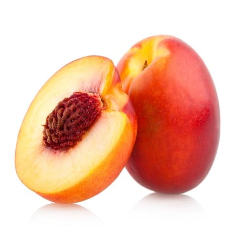 Nectarine Seeds – Heirloom, Non-GMO, High Germination Organic Garden Seeds