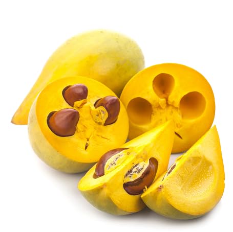 Yellow Lucuma Seeds – Heirloom, Non-GMO, High Germination Organic Garden Seeds