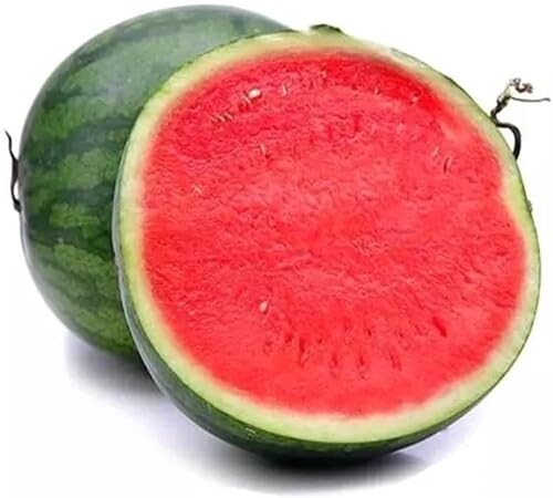 Red Watermelon Seeds – Heirloom, Non-GMO, High Germination Organic Garden Seeds