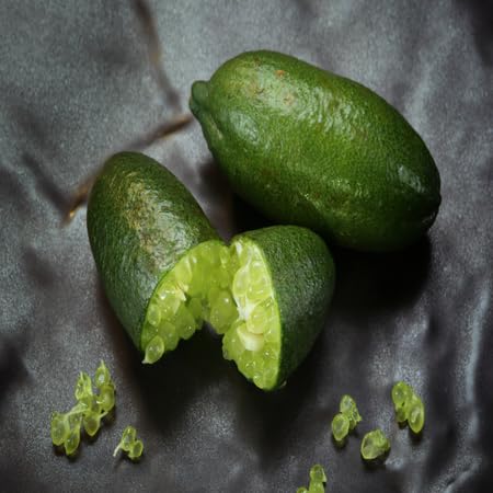 Finger Lime Seeds – Heirloom, Non-GMO, High Germination Organic Garden Seeds