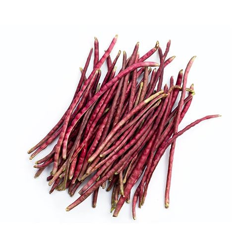 Red Bean Seeds – Heirloom, Non-GMO, High Germination Organic Garden Seeds Planting