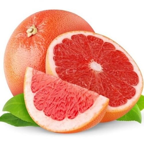 Red Pomelo Seeds – Heirloom, Non-GMO, High Germination Organic Garden Seeds