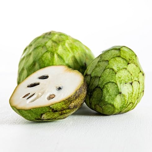 Cherimoya Seeds – Heirloom, Non-GMO, High Germination Organic Garden Seeds