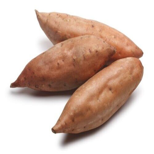 Sweet Potato Brown Seeds – Heirloom, Non-GMO, High Germination Organic Garden Seeds Planting