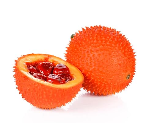 Orange Gac Seeds for Planting – Heirloom Non-GMO High Germination Organic Garden Seeds