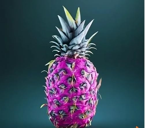 Pineapple Seeds Pink – Heirloom Non-GMO High Germination Organic Garden Seeds