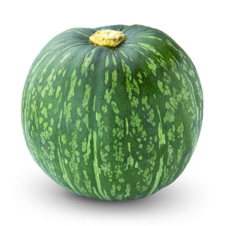 Green Pumpkin Seeds – Heirloom, Non-GMO, High Germination Organic Garden Seeds Planting