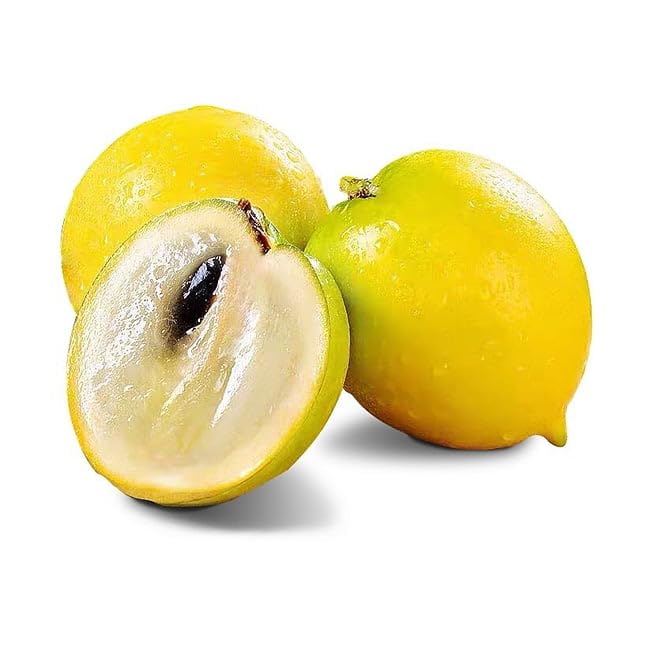Yellow Abiu Fruits Seeds for Planting Heirloom Non-GMO High Germination Organic Garden Seeds