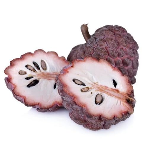 Custard Apple Seeds – Heirloom, Non-GMO, High Germination Organic Garden Seeds
