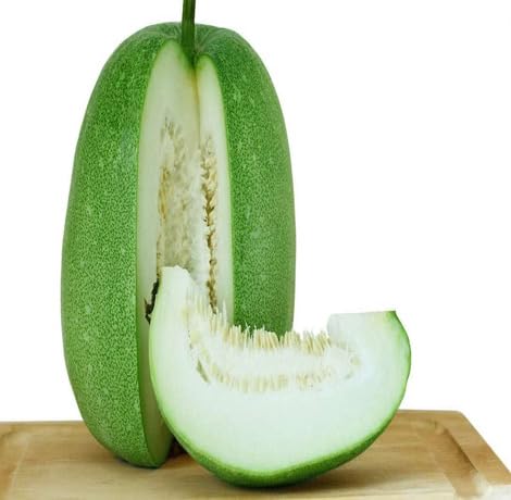 Green Ash Gourd – Heirloom, Non-GMO, High Germination Organic Garden Seeds Planting