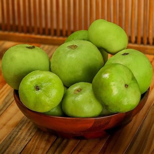 Green Tinda Fruits Seeds – Heirloom, Non-GMO, High Germination Organic Garden Seeds