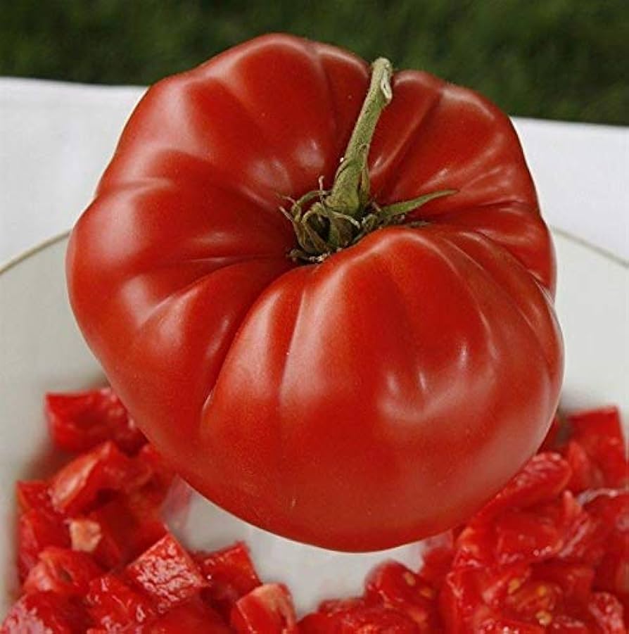 aussie tomato flower seeds