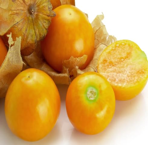 Orange Gooseberry Seeds Heirloom Non-GMO High Germination Organic Garden Seeds for Planting