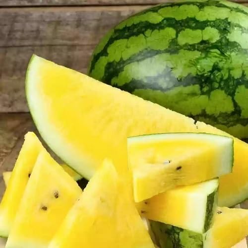 Watermelon Seeds – Heirloom, Non-GMO, High Germination Organic Garden Seeds