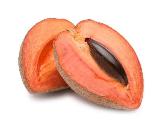 Mamey Seeds – Heirloom, Non-GMO, High Germination Organic Garden Seeds