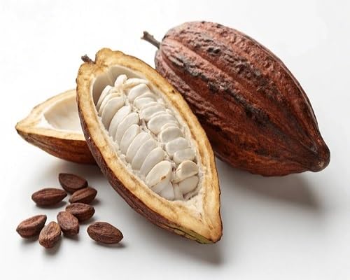 Brown Cacao Fruit Seeds – Heirloom, Non-GMO, High Germination Organic Garden Seeds | Seeds for Planting