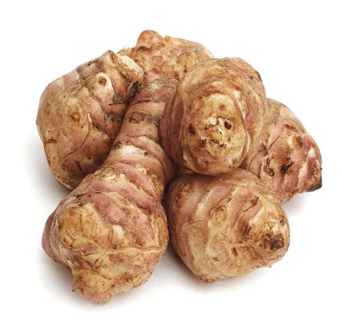 Brown Topinambur herb seeds