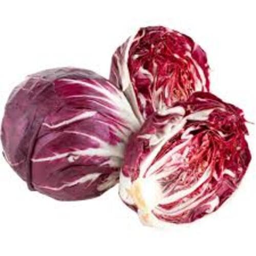 Lettuce Seeds – Heirloom, Non-GMO, High Germination Organic Garden Seeds Planting
