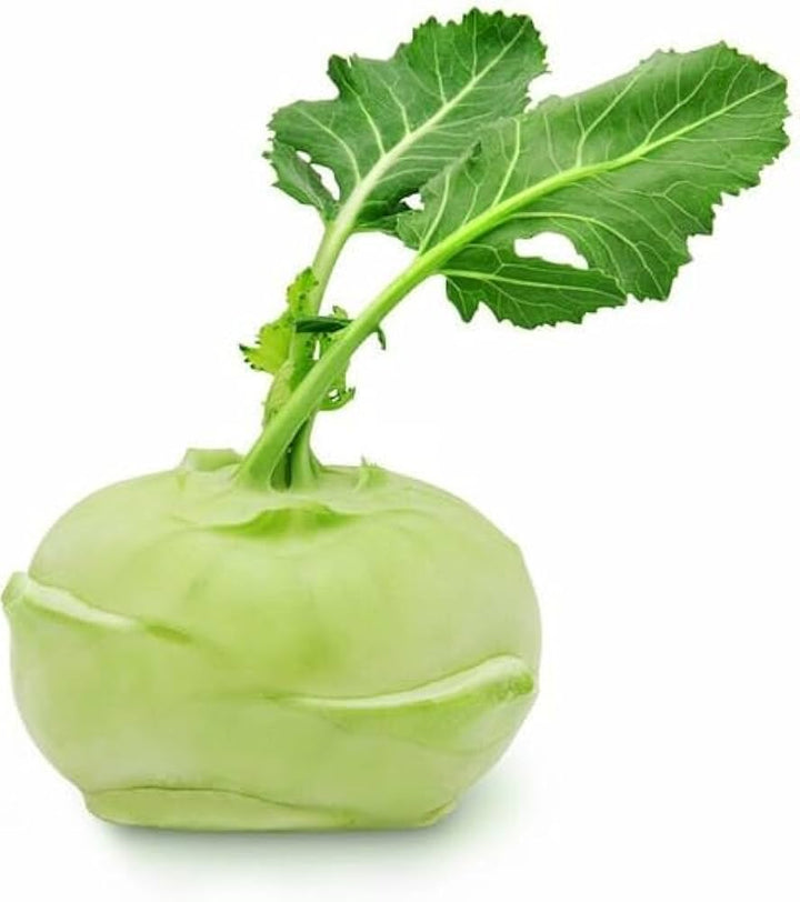 Hybrid Kohlrabi Vegetable Seeds for Planting – Heirloom, Non-GMO, High Germination Organic Garden Seeds