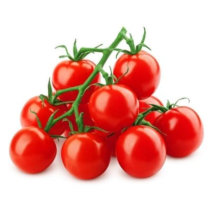 Red Tomato Seeds – Heirloom, Non-GMO, High Germination Organic Garden Seeds Planting