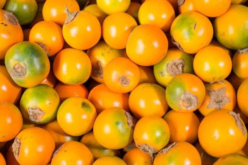 Lulo Seeds – Heirloom, Non-GMO, High Germination Organic Garden Seeds