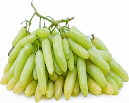 Green Grape Seeds – Heirloom, Non-GMO, High Germination Organic Garden Seeds