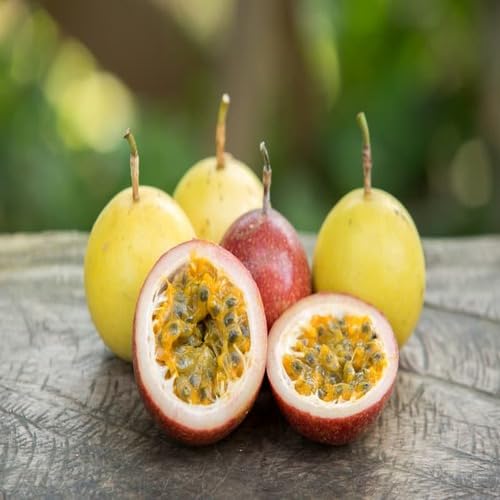 Mixed Passion Fruit Seeds – Heirloom, Non-GMO, High Germination Organic Garden