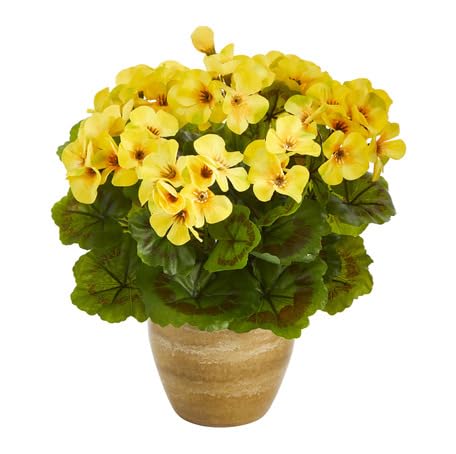 yellow geranium flower seeds